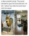 Don't feed the deer with biscuits...